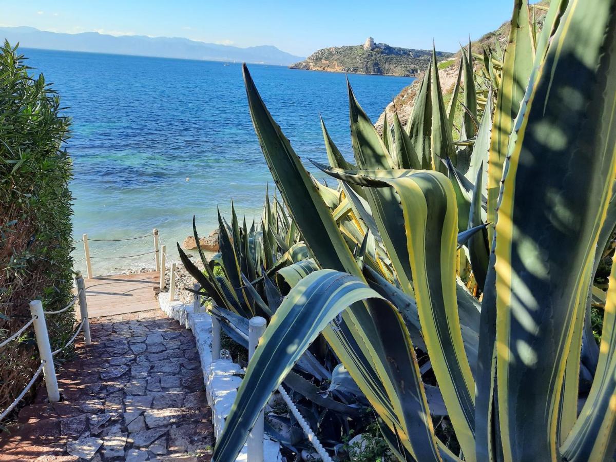 Zenflamingo Mini Monolocale Apartman Cagliari Kültér fotó